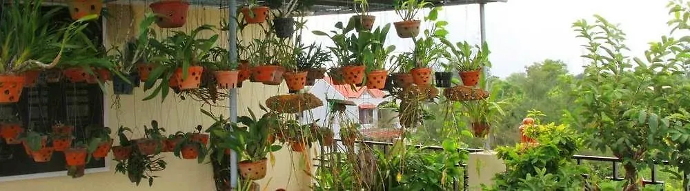 Leaf Homestay Hoi An