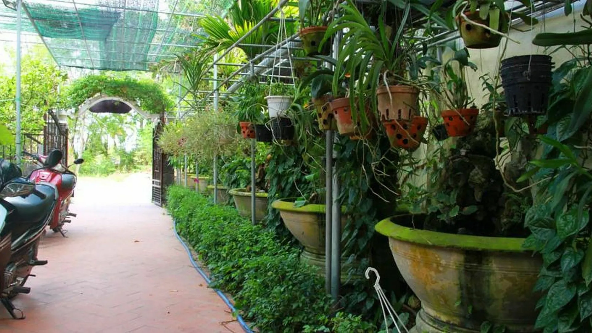 Leaf Homestay Hoi An