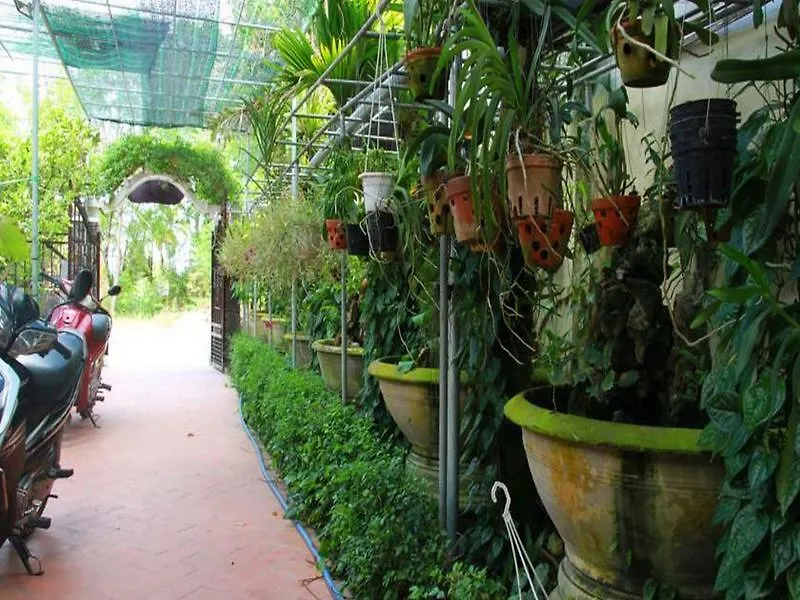 Leaf Homestay Hội An