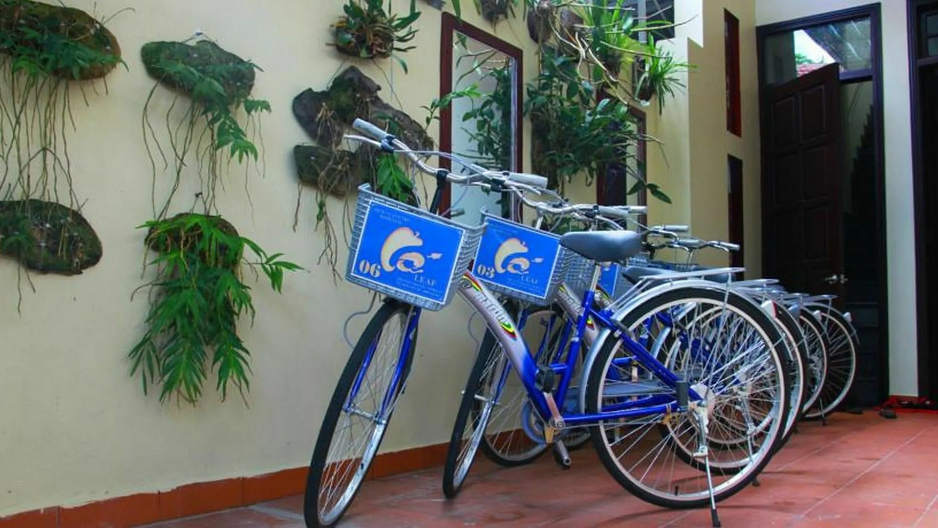 Leaf Homestay Hội An